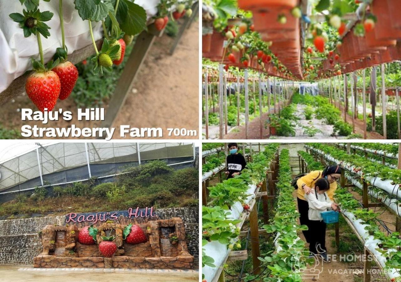 Fe Cozy Cameron Homestay Family 8 Pax 3Br Palas Horizon Brinchang 金马伦民宿 8人3房 Esterno foto